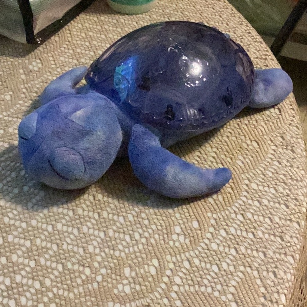 Cloud B - Tranquil - Turtle Ocean